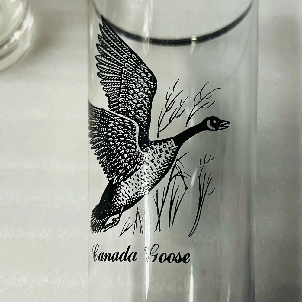 Sportsman by Federal Glass Set of 8 Canada Goose Highball or Tumbler Glasses